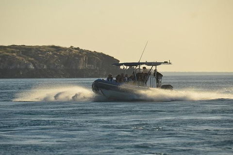 Cape Leveque, Sea Safari And Aboriginal Communities From Broome - Great Ocean Road Tourism 6