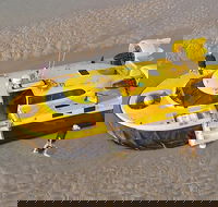 Prehistoric Cocktail Breakfast Hovercraft Tour - Great Ocean Road Tourism