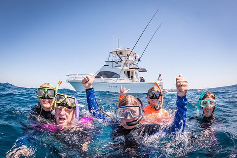 Life On Ningaloo Swimming Tour In Exmouth - Great Ocean Road Tourism 4