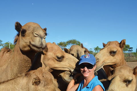 Broome Pre-sunset Camel Tour 30 Minutes - Great Ocean Road Tourism 3