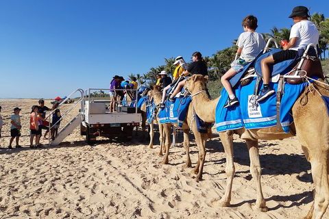 Broome Pre-sunset Camel Tour 30 Minutes - Great Ocean Road Tourism 4
