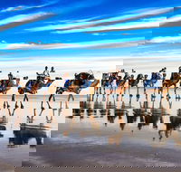 Broome Pre-sunset Camel Tour 30 minutes - Great Ocean Road Tourism