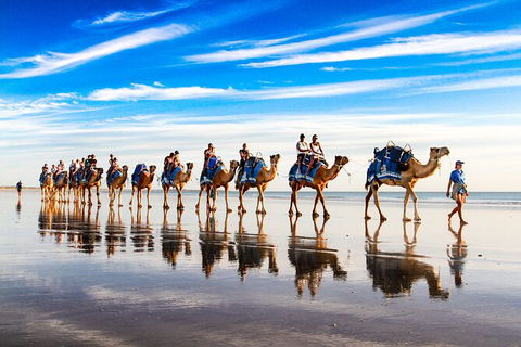 Broome Pre-sunset Camel Tour 30 Minutes - Great Ocean Road Tourism 0