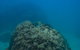 Ningaloo Immersion Private Charter - thumb 4