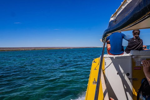 Ningaloo Immersion Private Charter - Great Ocean Road Tourism 0