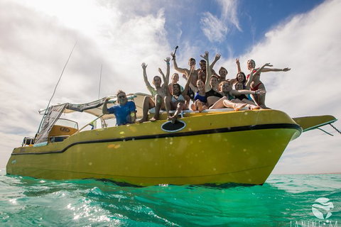 Ningaloo Immersion Private Charter - Great Ocean Road Tourism 9