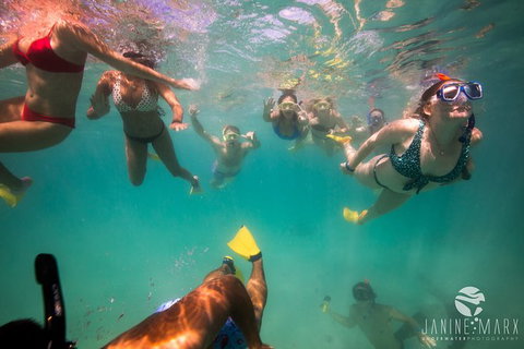 Ningaloo Immersion Private Charter - Great Ocean Road Tourism 8
