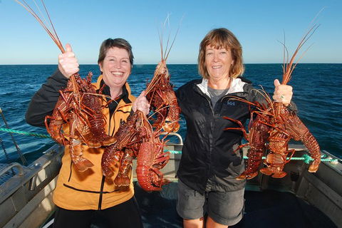 Abrolhos Islands 5 Day Tours - Great Ocean Road Tourism 1
