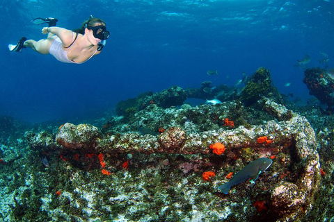 Abrolhos Islands 5 Day Tours - Great Ocean Road Tourism 3
