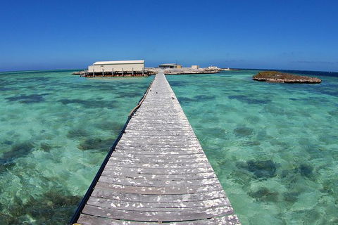 Abrolhos Islands 5 Day Tours - Great Ocean Road Tourism 4