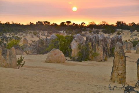 Pinnacle Desert Sunset And Stargazing With Dinner - Great Ocean Road Tourism 3