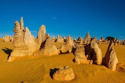 Pinnacle Desert Sunset And Stargazing With Dinner - Great Ocean Road Tourism 5