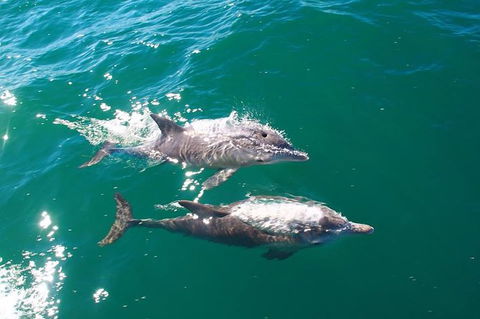 Sailing Kayak Adventure Through The Peel Harvey Estuary - Great Ocean Road Tourism 1