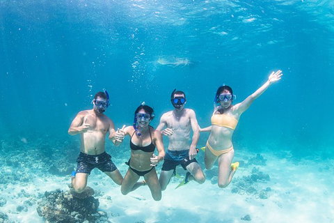 Full-Day Whale Sharks Swimming Experience On Ningaloo Reef - Great Ocean Road Tourism 5