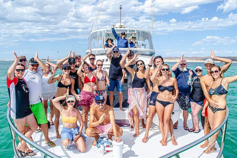Full-Day Whale Sharks Swimming Experience On Ningaloo Reef - Great Ocean Road Tourism 1