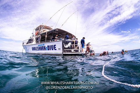 Full-Day Whale Sharks Swimming Experience On Ningaloo Reef - Great Ocean Road Tourism 13