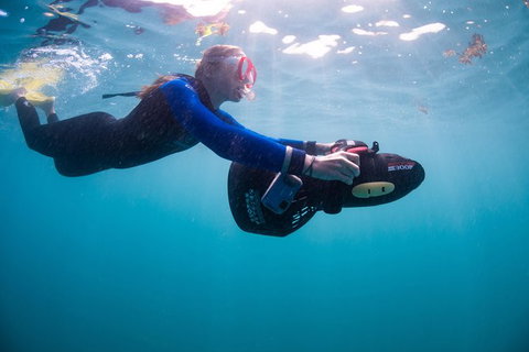 Full-Day Whale Sharks Swimming Experience On Ningaloo Reef - Great Ocean Road Tourism 4