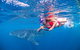 Full-Day Whale Sharks Swimming Experience On Ningaloo Reef - thumb 0