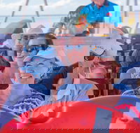 The Island Sandbar Experience - Great Ocean Road Tourism