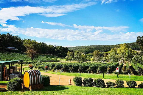 Bickley Valley Wine & Cider Tour - Premium Small Group Tour - Great Ocean Road Tourism 0