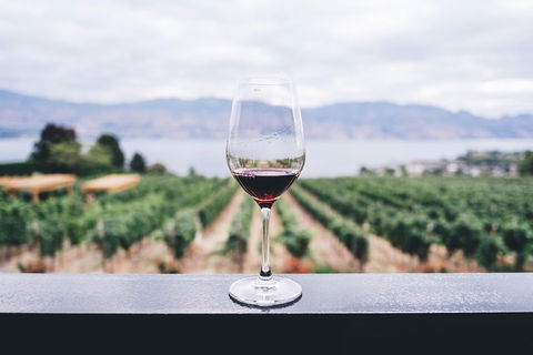 Full-Day Gourmet Wine Tour With Pick Up And Lunch - Great Ocean Road Tourism 1