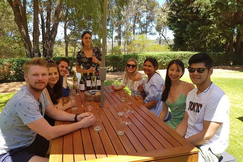 Full-Day Gourmet Wine Tour With Pick Up And Lunch - Great Ocean Road Tourism 5
