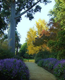 Albury Botanic Garden - Great Ocean Road Tourism 0