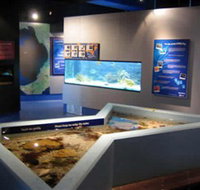 Marine and Freshwater Discovery Centre - Great Ocean Road Tourism