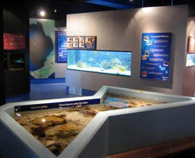 Marine And Freshwater Discovery Centre - Great Ocean Road Tourism 0