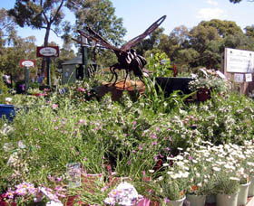 Zanthorrea Nursery - Great Ocean Road Tourism 0