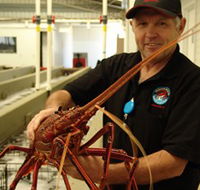 Lobster Shack - Great Ocean Road Tourism