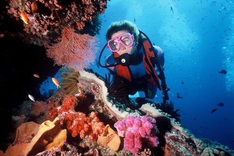 Calypso Reef Charters - Great Ocean Road Tourism 2