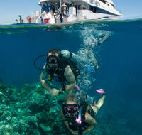 Down Under Cruise and Dive - Great Ocean Road Tourism