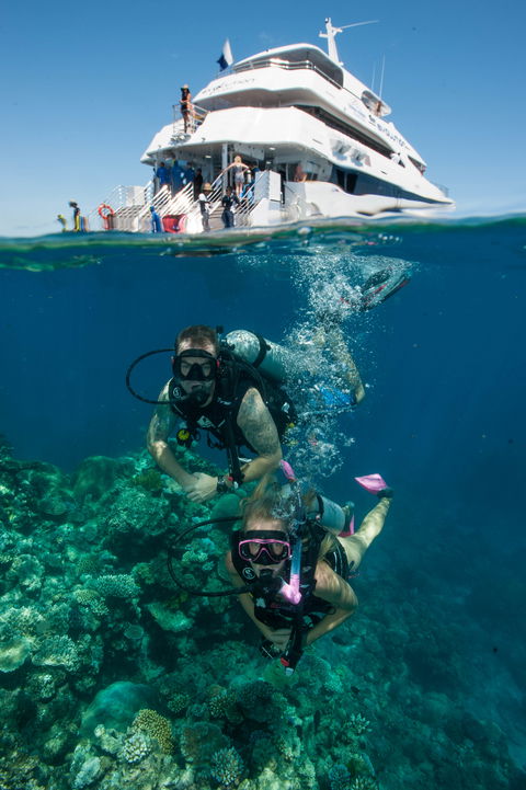 Down Under Cruise And Dive - Great Ocean Road Tourism 0