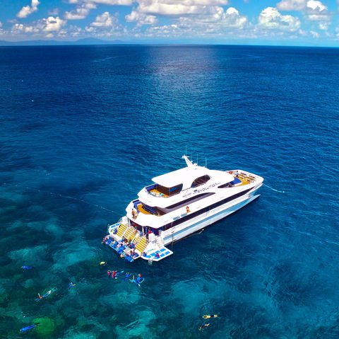 Down Under Cruise And Dive - Great Ocean Road Tourism 1