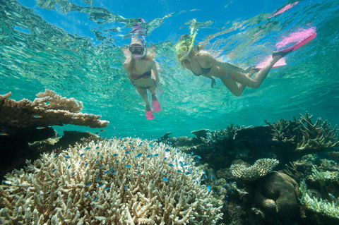 Down Under Cruise And Dive - Great Ocean Road Tourism 4
