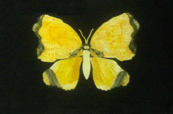 Ashworths - Great Ocean Road Tourism