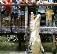 Hartley's Crocodile Adventures - Great Ocean Road Tourism