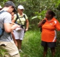Ingan Tours - Spirit of the Rainforest Tour - Great Ocean Road Tourism