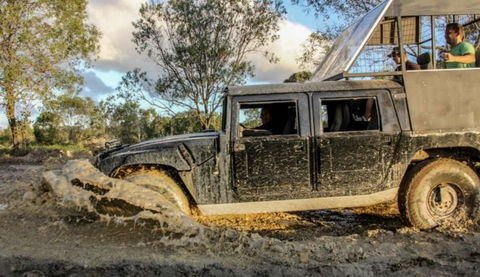 International Coaches And Tours - Great Ocean Road Tourism 3