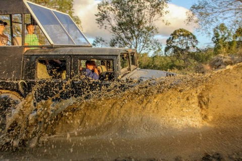 International Coaches And Tours - Great Ocean Road Tourism 4