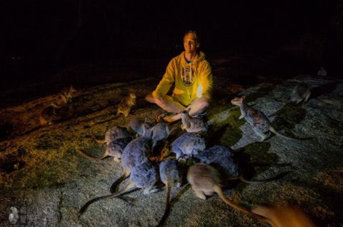 International Coaches And Tours - Great Ocean Road Tourism 5