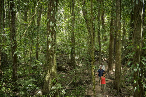 Mossman Gorge Centre - Great Ocean Road Tourism 1
