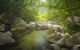 Mossman Gorge Centre - thumb 2