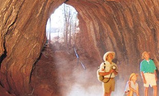 Undara Experience - Great Ocean Road Tourism 3