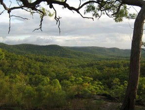 Cooktown Aboriginal Art Tours - Great Ocean Road Tourism 1