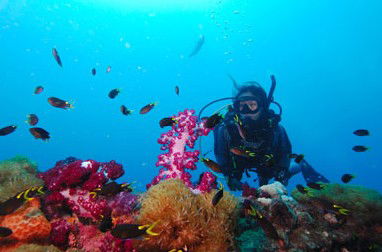 Adrenalin Snorkel And Dive - Great Ocean Road Tourism 3