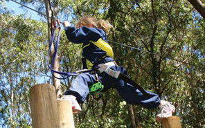 Adventure Parc - Great Ocean Road Tourism 1