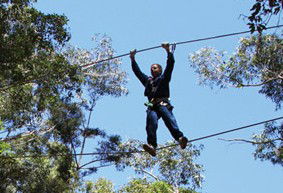 Adventure Parc - Great Ocean Road Tourism 2