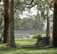 Aloomba Lavender - Great Ocean Road Tourism